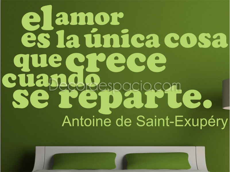 Vinilo el amor es la unica cosa