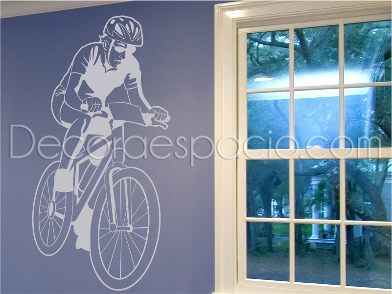 Vinilo ciclista 