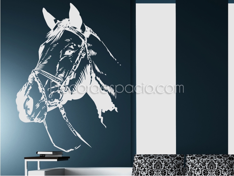 Vinilo caballo I