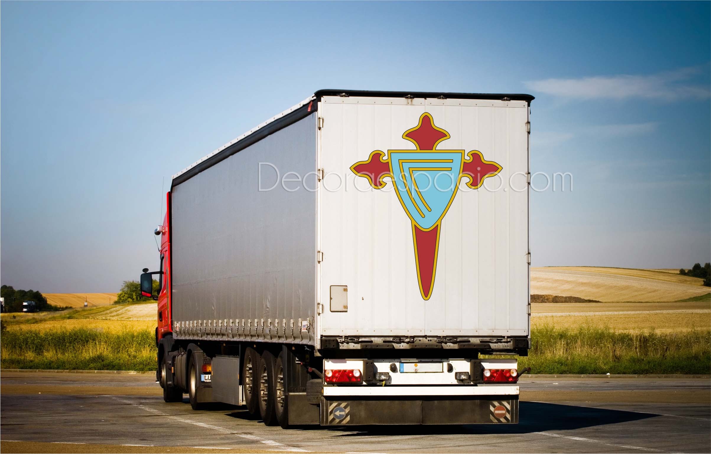 Vinilo a todo color-0033