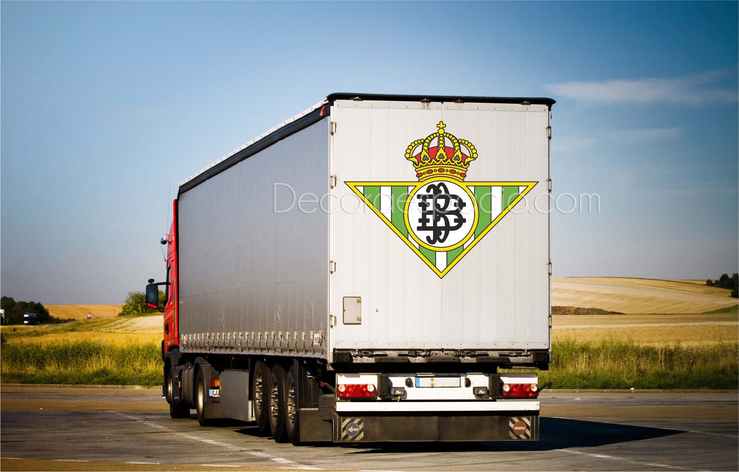 Vinilo a todo color-0029