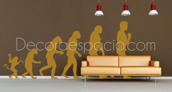 Vinilo evolucion